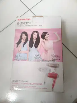 Hair Dryer Philips