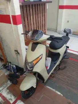 Sepeda listik D65