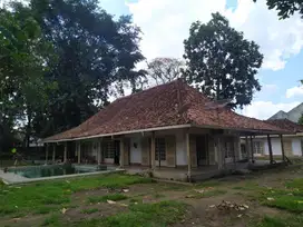 Tanah pogung sleman