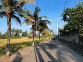 TANAH KAVLING START 240 JUTA DI TABANAN KOTA SIAP BANGUN