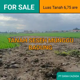 TANAH SESEH MUNGGU BADUNG 6,75 ARE