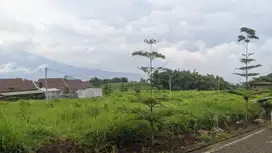 Tanah Selangkah UIN 3 Malang Potensial Rukost
