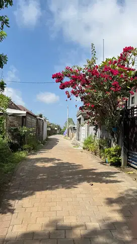Dijual Sangat Murah 300jt/are Tanah Dekat Pandawa Kutuh Bali