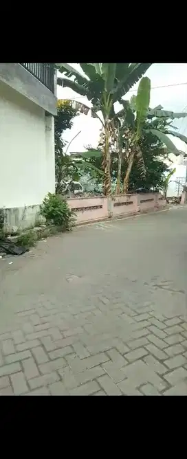 Tanah sangat istimeewa pogung kidul selangkah ke UGM