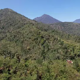 LAHAN DENGAN VIEW SANGAT MENAWAN DI MUNDUK - BULELENG, BALI