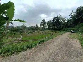 Dijual sawah produktif subur dimatesih
