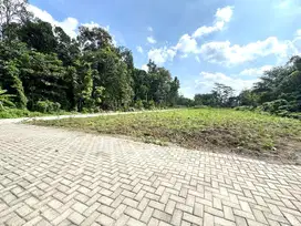 Prospek Bangun Kos, Tanah Belakang Kampus