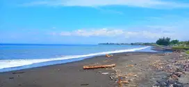 Tanah Los Pantai Jl Ida Bagus Mantra Tulikup Gianyar Bali
