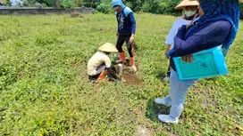 Tanah Dijual Selomartani Jogja, Harga Termurah, Sila Bandingkan