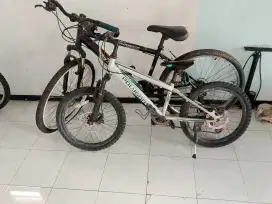Sepeda Phoenix dan polygon