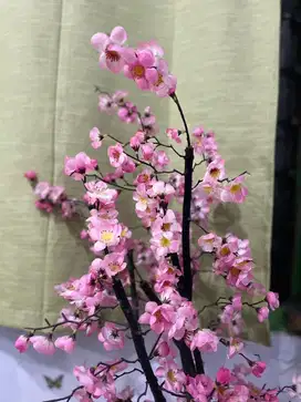 Tanaman hias bunga sakura (artificial / palsu)