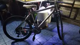 Sepeda Polygon alloy bekas