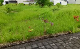 Di jual tanah di perumahan puri damai belalang
