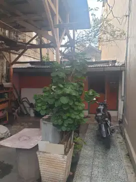 Rumah dlm Gang di Jakarta Pusat