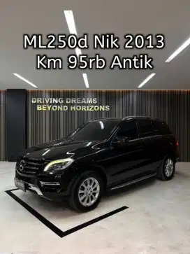 Mercedes Benz ML250d ML250 Diesel AT 2014 Hitam Mercy B1389KJ Nik 2013