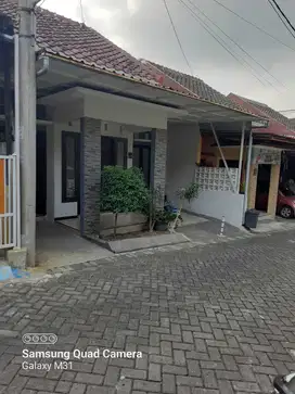 Rumah jalan ikan blimbing kota malang