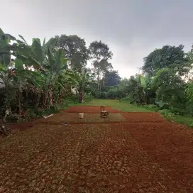 Dijual Tanah Kebun Produktif 1.624m
Sukaresmi Sukamakmur Bogor
