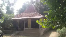 Bahan joglo nangka
