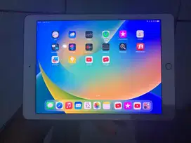 Ipad Pro 9.7 inch