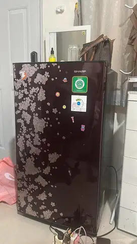 kulkas sharp 1 pintu