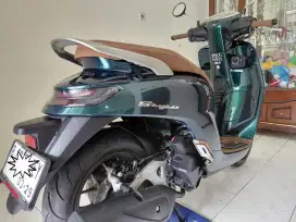 Stylo 2024 ABS royal green