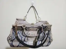 Tas Coach Limited Edition