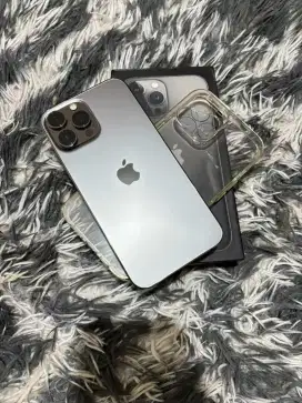 Iphone 13 promax 128 beacukai