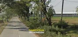(L) Tanah Cantiq LD 47 mtr, Kawasan Industri Caruban MADIUN