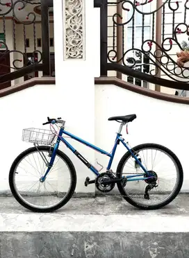 commuterbike federal straycat ss