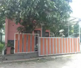 Murah Rumah di Pohon Mangga Regency