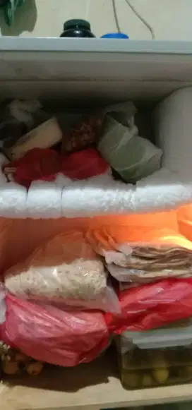Kulkas sharp satu pintu