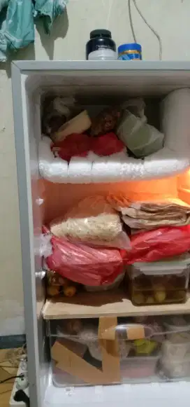Kulkas sharp satu pintu