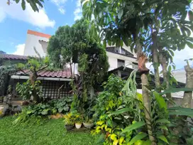 DIJUAL RUMAH 2 LANTAI, HALAMAN SANGAT LUAS DAERAH CIPINANG JAKARTA TIM