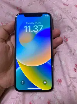 IPHONE X 256 GB INTER [BACA DESKRIPSI]