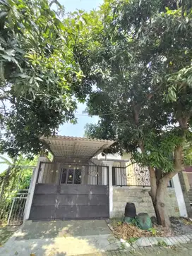 di jual rumah