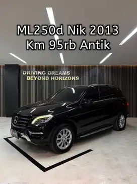 Mercedes-Benz ML250 2013 Diesel