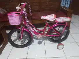 Sepeda Anak Genio Ring 16 roda 4