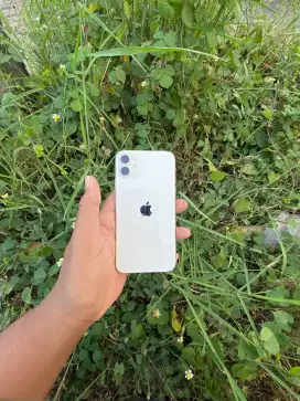 Iphone 11 64 ibox
