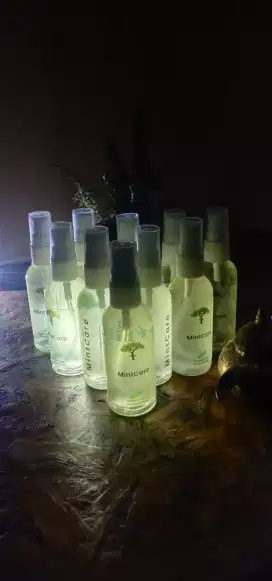 Spray mintcare diffuser