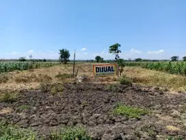 Jual murah Sawah produktif