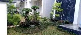 Spesialis pembuat Taman dan kolam ikan koi