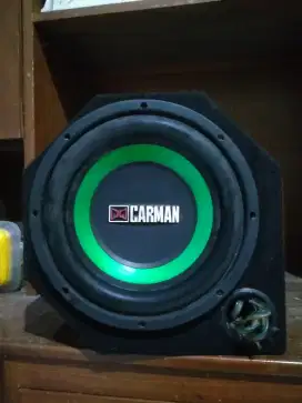 Speaker woofer Carman 12 + box 200