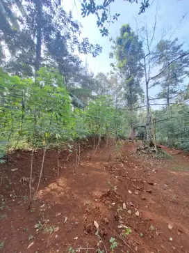 Di jual Tanah pekarangan