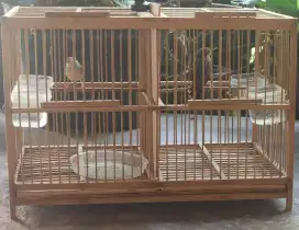 Cici Padi & Perenjak Lumut Voer + Kandang
