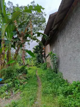DIJUAL CEPAT TANAH DEKAT CANDI BOROBUDUR
