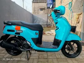 Fazzio 2022 full ori low km mulpis