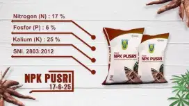 Pupuk NPK Pusri Non Subsidi 17-6-25
