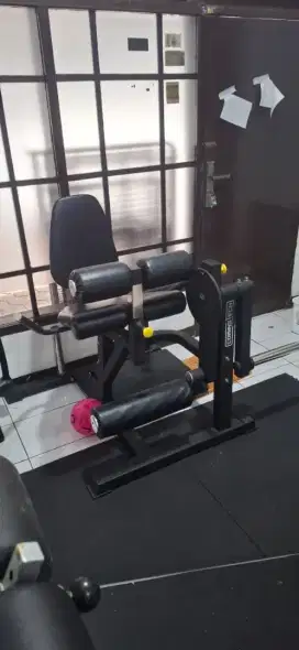 Leg extension leg curl