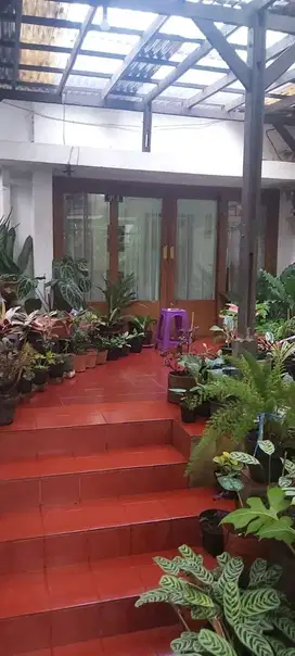 Rumah strategis murah di mainroad dipatiukur Bandung