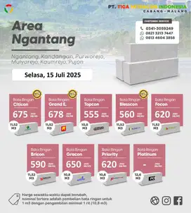 BATA RINGAN NGANTANG